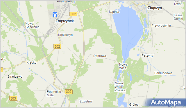 mapa Dąbrowa gmina Zbąszyń, Dąbrowa gmina Zbąszyń na mapie Targeo