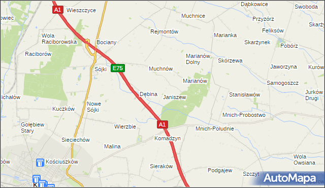 mapa Janiszew gmina Strzelce, Janiszew gmina Strzelce na mapie Targeo