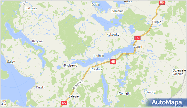 mapa Leśniki gmina Świętajno, Leśniki gmina Świętajno na mapie Targeo