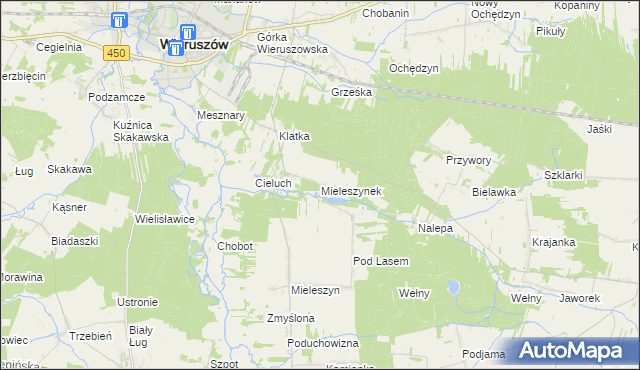mapa Mieleszynek, Mieleszynek na mapie Targeo