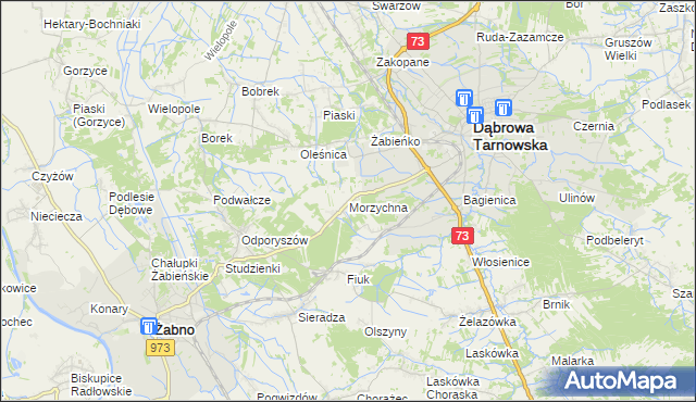 mapa Morzychna, Morzychna na mapie Targeo