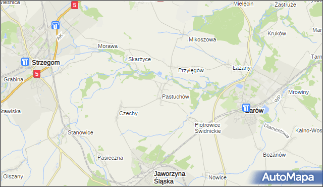 mapa Pastuchów, Pastuchów na mapie Targeo