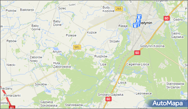 mapa Ruszków gmina Gostynin, Ruszków gmina Gostynin na mapie Targeo