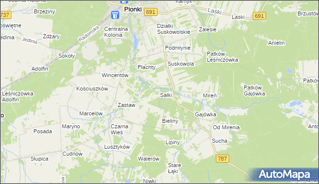 mapa Sałki gmina Pionki, Sałki gmina Pionki na mapie Targeo
