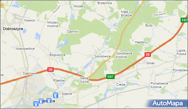 mapa Sokołowice gmina Oleśnica, Sokołowice gmina Oleśnica na mapie Targeo