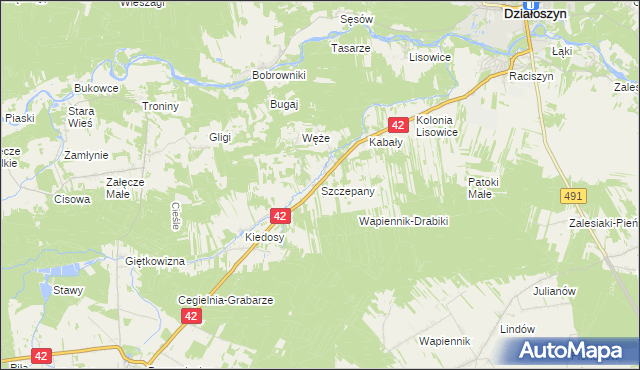 mapa Szczepany gmina Działoszyn, Szczepany gmina Działoszyn na mapie Targeo