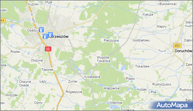 mapa Wygoda Tokarska, Wygoda Tokarska na mapie Targeo