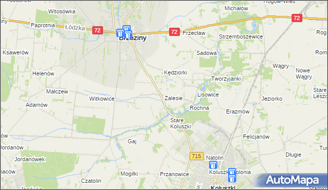 mapa Zalesie gmina Brzeziny, Zalesie gmina Brzeziny na mapie Targeo