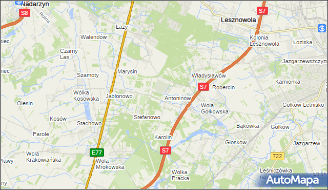 mapa Antoninów gmina Piaseczno, Antoninów gmina Piaseczno na mapie Targeo