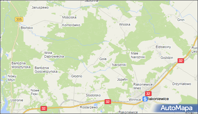 mapa Gola gmina Rakoniewice, Gola gmina Rakoniewice na mapie Targeo