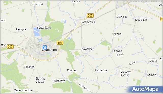 mapa Kozłowo gmina Opalenica, Kozłowo gmina Opalenica na mapie Targeo