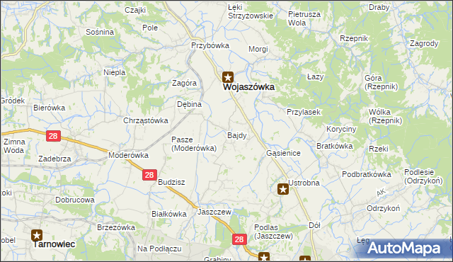 mapa Bajdy gmina Wojaszówka, Bajdy gmina Wojaszówka na mapie Targeo