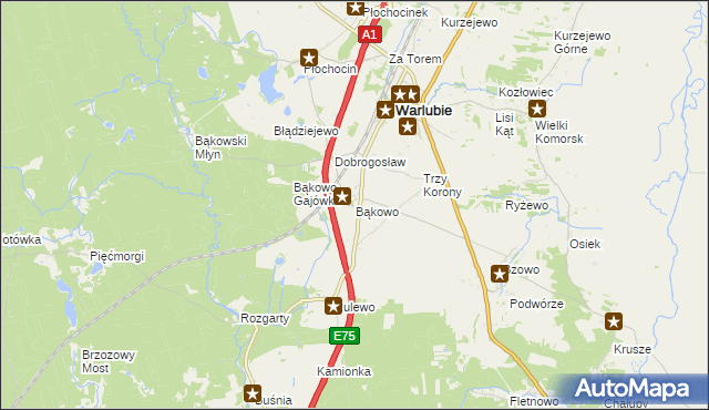 mapa Bąkowo gmina Warlubie, Bąkowo gmina Warlubie na mapie Targeo