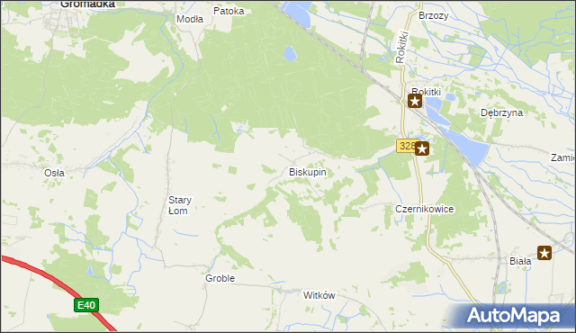 mapa Biskupin gmina Chojnów, Biskupin gmina Chojnów na mapie Targeo