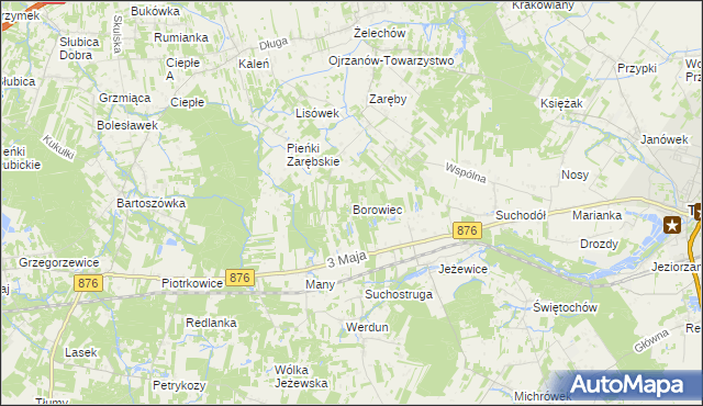 mapa Borowiec gmina Tarczyn, Borowiec gmina Tarczyn na mapie Targeo