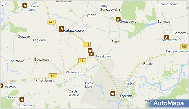 mapa Borzykowo gmina Kołaczkowo, Borzykowo gmina Kołaczkowo na mapie Targeo