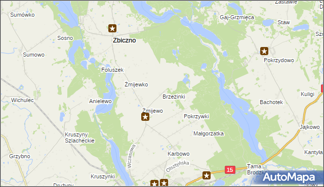 mapa Brzezinki gmina Zbiczno, Brzezinki gmina Zbiczno na mapie Targeo