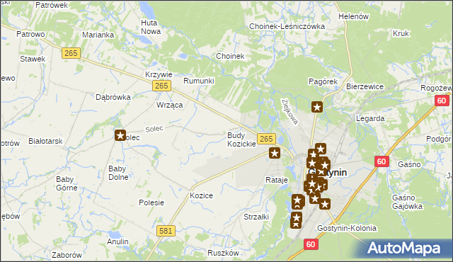 mapa Budy Kozickie, Budy Kozickie na mapie Targeo