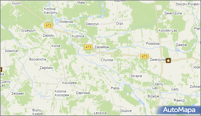 mapa Chynów gmina Drużbice, Chynów gmina Drużbice na mapie Targeo