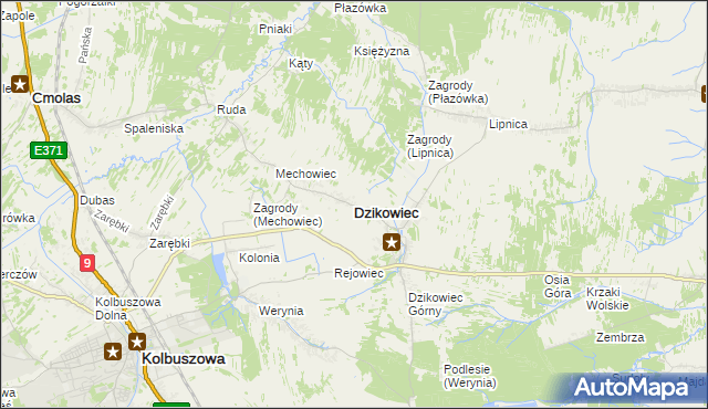 mapa Dzikowiec powiat kolbuszowski, Dzikowiec powiat kolbuszowski na mapie Targeo