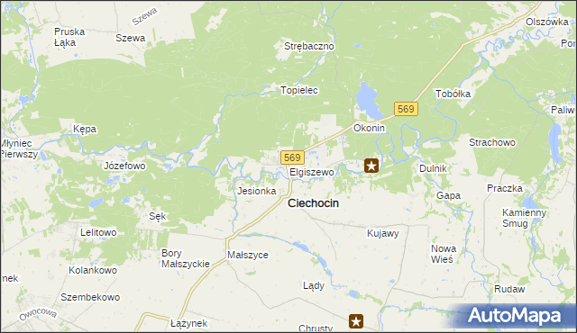mapa Elgiszewo, Elgiszewo na mapie Targeo