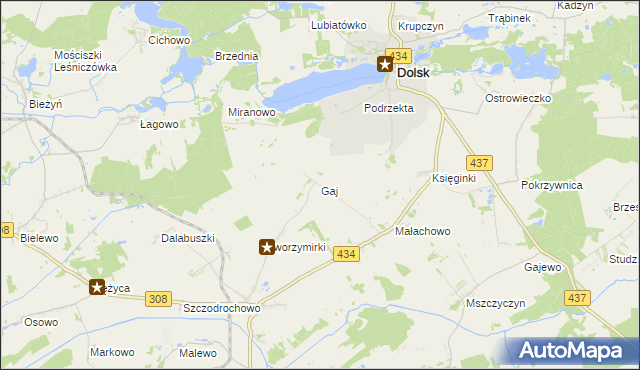 mapa Gaj gmina Gostyń, Gaj gmina Gostyń na mapie Targeo