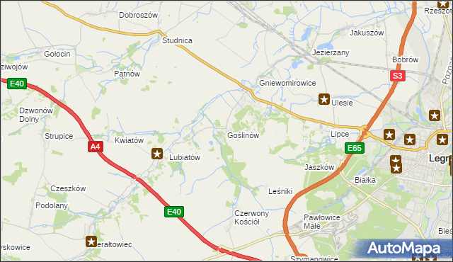 mapa Goślinów, Goślinów na mapie Targeo