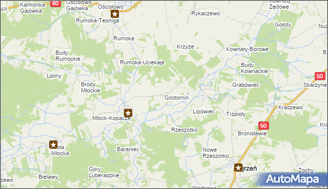 mapa Gostomin gmina Ojrzeń, Gostomin gmina Ojrzeń na mapie Targeo