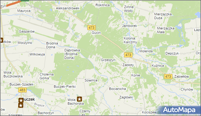 mapa Grzeszyn gmina Buczek, Grzeszyn gmina Buczek na mapie Targeo