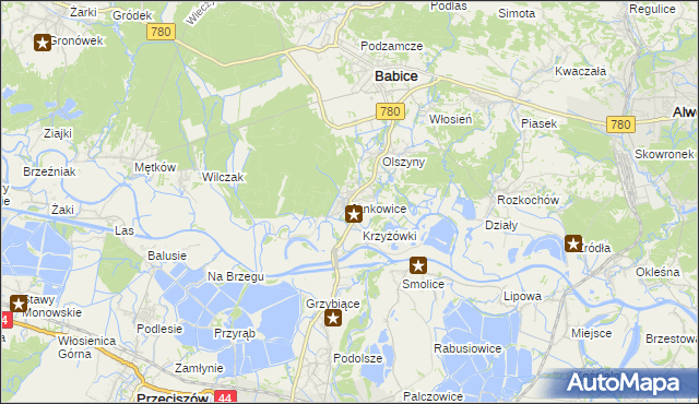 mapa Jankowice gmina Babice, Jankowice gmina Babice na mapie Targeo