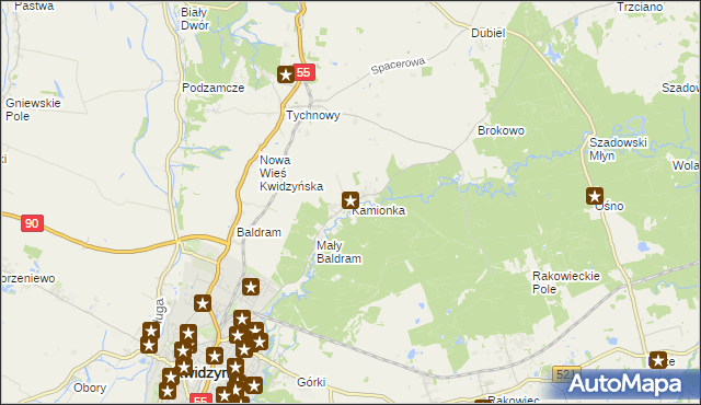 mapa Kamionka gmina Kwidzyn, Kamionka gmina Kwidzyn na mapie Targeo