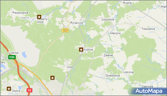 mapa Koźlice gmina Rudna, Koźlice gmina Rudna na mapie Targeo