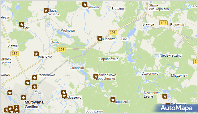 mapa Łopuchówko, Łopuchówko na mapie Targeo