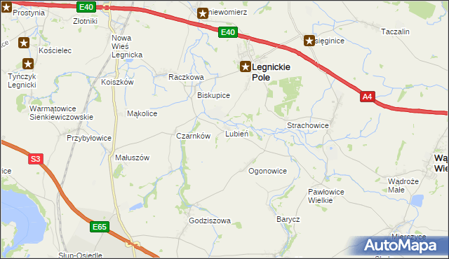 mapa Lubień gmina Legnickie Pole, Lubień gmina Legnickie Pole na mapie Targeo