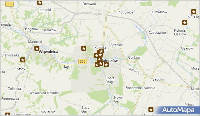 mapa Nałęczów powiat puławski, Nałęczów powiat puławski na mapie Targeo