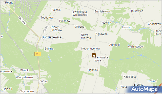 mapa Nepomucenów gmina Budziszewice, Nepomucenów gmina Budziszewice na mapie Targeo