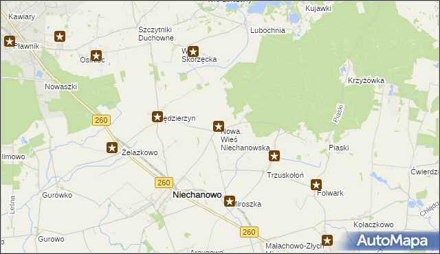 mapa Nowa Wieś Niechanowska, Nowa Wieś Niechanowska na mapie Targeo