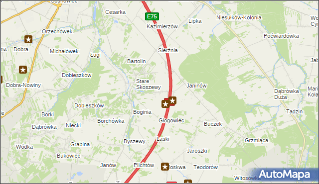 mapa Nowe Skoszewy, Nowe Skoszewy na mapie Targeo