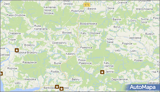 mapa Paleśnica, Paleśnica na mapie Targeo