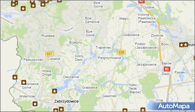 mapa Pielgrzymowice gmina Pawłowice, Pielgrzymowice gmina Pawłowice na mapie Targeo