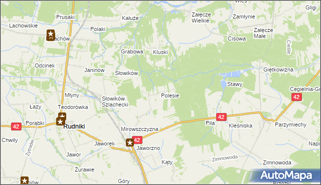 mapa Polesie gmina Rudniki, Polesie gmina Rudniki na mapie Targeo