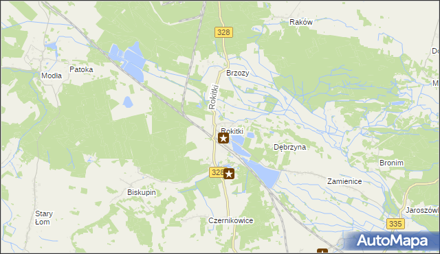 mapa Rokitki gmina Chojnów, Rokitki gmina Chojnów na mapie Targeo
