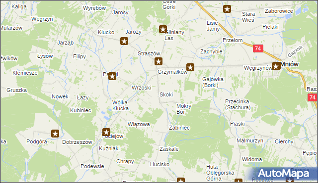 mapa Skoki gmina Mniów, Skoki gmina Mniów na mapie Targeo