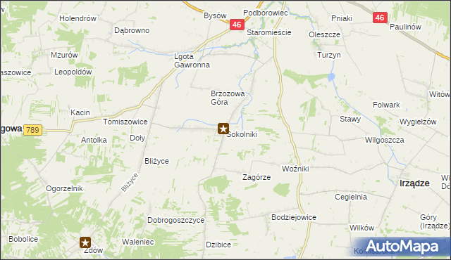 mapa Sokolniki gmina Niegowa, Sokolniki gmina Niegowa na mapie Targeo