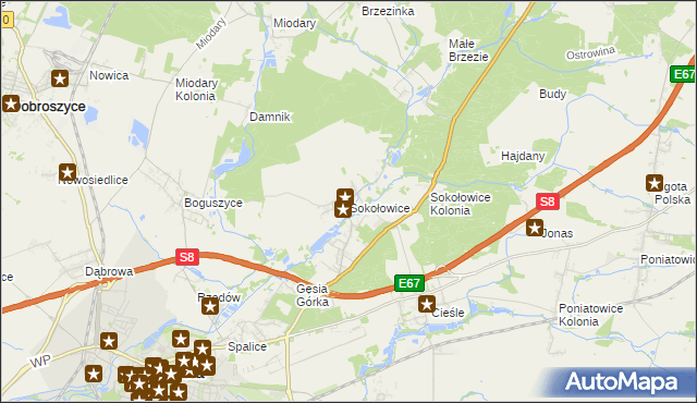 mapa Sokołowice gmina Oleśnica, Sokołowice gmina Oleśnica na mapie Targeo