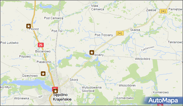 mapa Trzciany gmina Sępólno Krajeńskie, Trzciany gmina Sępólno Krajeńskie na mapie Targeo