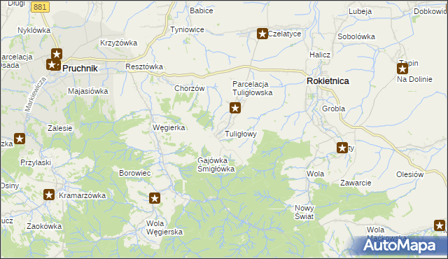 mapa Tuligłowy gmina Rokietnica, Tuligłowy gmina Rokietnica na mapie Targeo