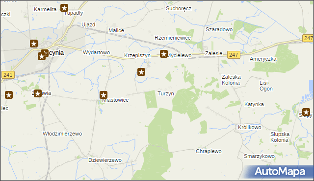 mapa Turzyn gmina Kcynia, Turzyn gmina Kcynia na mapie Targeo