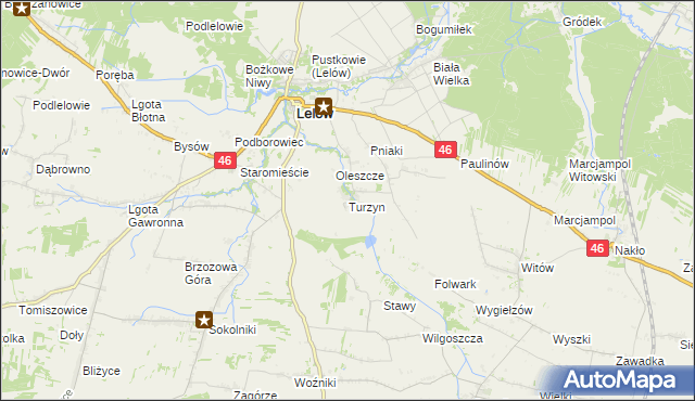 mapa Turzyn gmina Lelów, Turzyn gmina Lelów na mapie Targeo