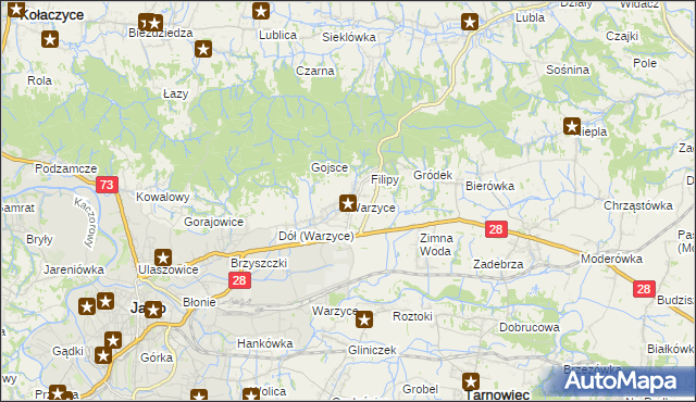 mapa Warzyce, Warzyce na mapie Targeo